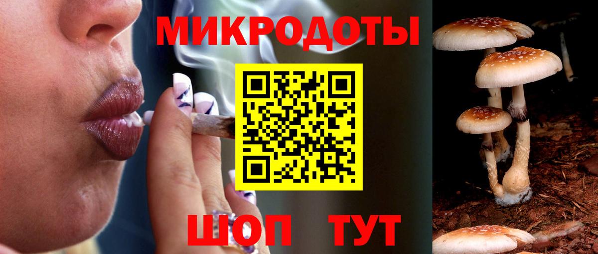 Галлюциногенные грибы Cubensis  Вход с VPN  Псилоцибиновые грибы мухоморы  Россия 
